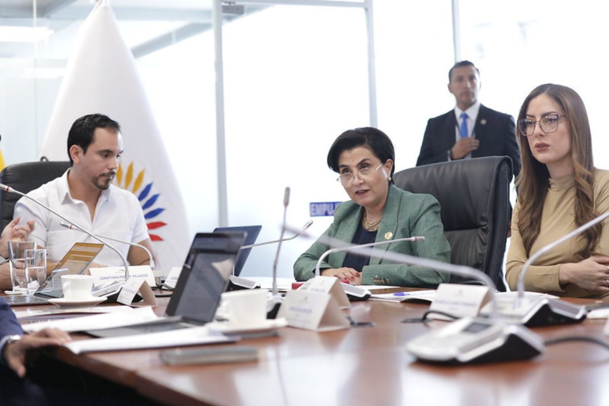 Gabriela Sommerfeld, canciller de Ecuador, acudió a la Comisión de Relaciones Internacionales de la Asamblea Nacional. Foto: Flickr Asamblea