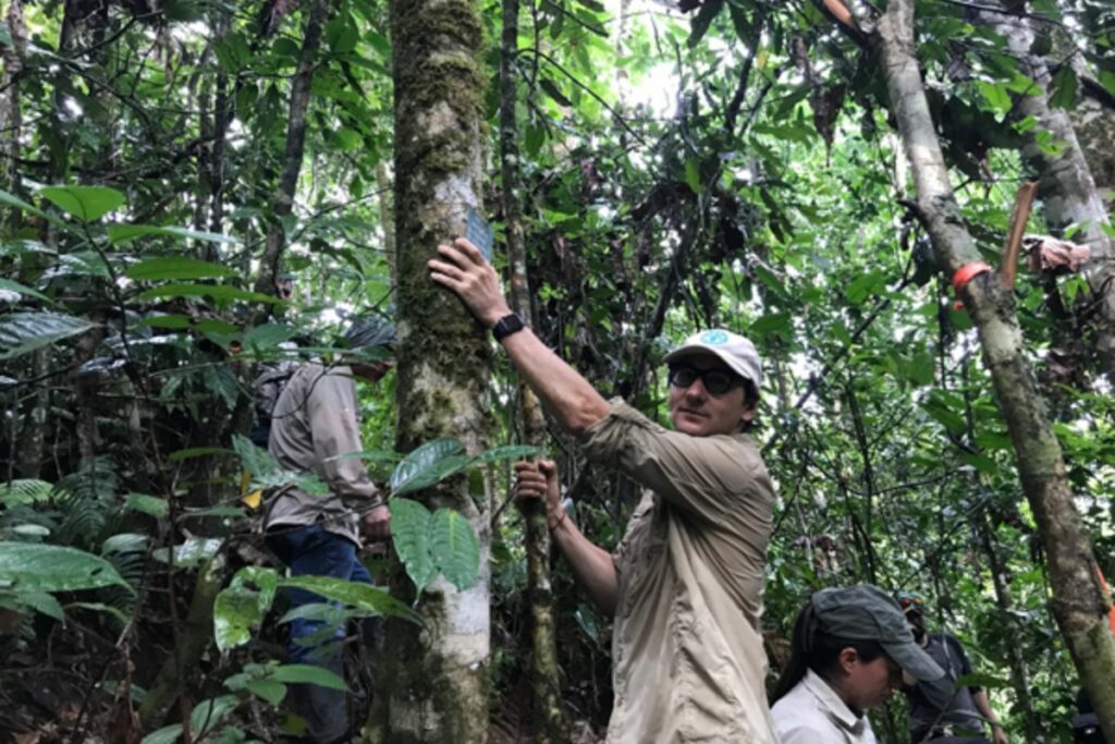 La conservación de los bosques ecuatorianos, refleja el compromiso del país con la preservación de sus recursos naturales. Foto: Pro Amazonía.