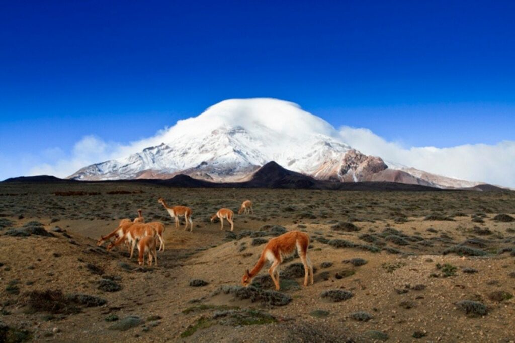 El volcán Chimborazo, confirmado como el punto más alejado del centro de la Tierra, supera al Everest en distancia al centro terrestre. Foto: Ministerio de Turismo.