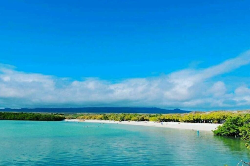 La playa Tortuga Bay, ubicada en las Islas Galápagos se encuentra en este listado.