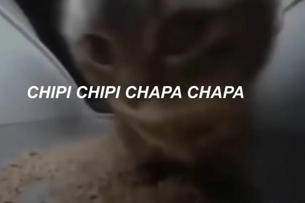 La viralización comenzó cuando un meme de Internet mostró a un gato moviendo su cabeza al ritmo del "Chipi Chipi Chapa Chapa". Foto: Captura de pantalla.