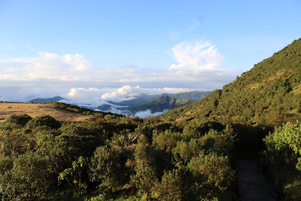Paisaje de la reserva Yanacocha, que está a 45 minutos de Quito, en la ladera Oeste del volcán Pichincha. Foto: captura de la Fundación Jocotoco