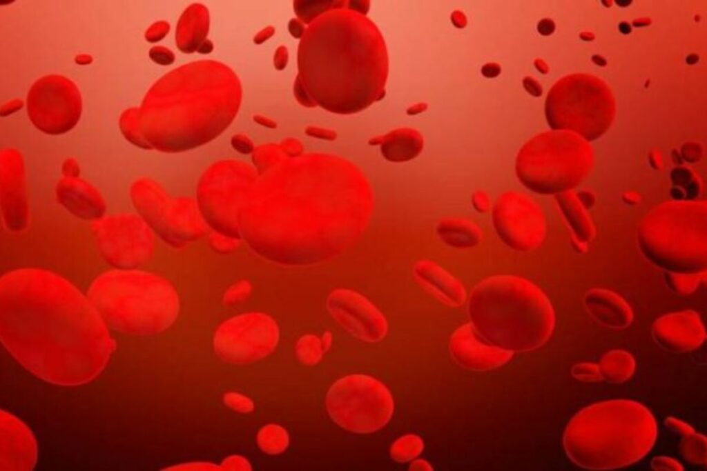 Imagen referencial. La hemofilia es un trastorno en la coagulación sanguínea. Foto: Pixabay •